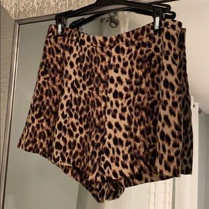 Gianni Bini high waisted leopard shorts